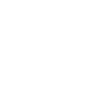 U.S. Air force logo