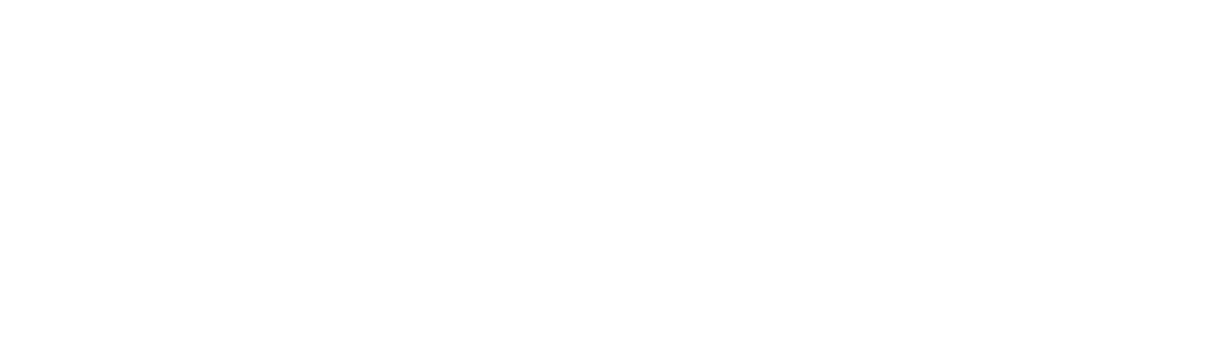MARS-Logo